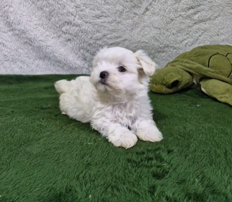 1da685a3-5670-4114-adea-35f65d8ac692