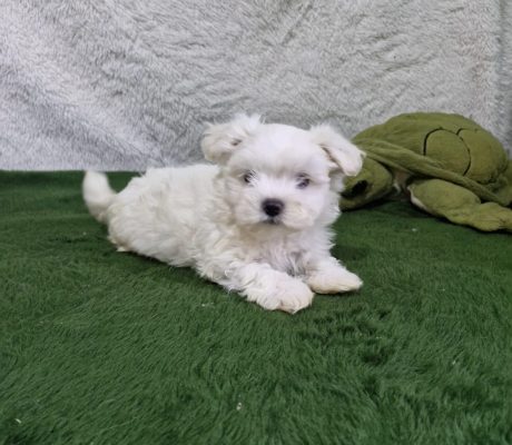 2968c2ea-fdc0-4628-8043-16ed649db441