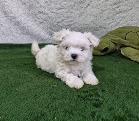 50dfecfe-318b-48f3-a045-78cd2ac3289f