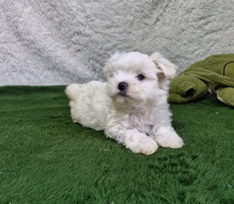 710221f7-8e33-4dd3-869e-de0d39a53e63